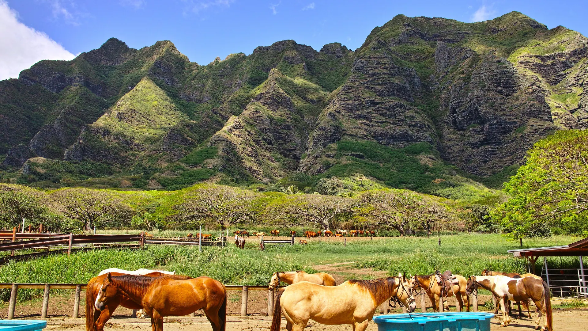 Holiday Inn Express Waikiki By Ihg Honolulu 3*,  USA